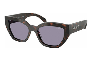 Prada PR A09S 17N03N GreyRoot Tortoise