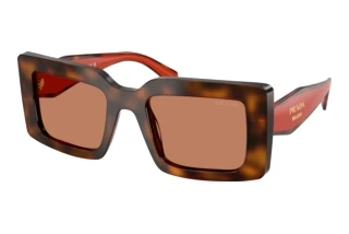 Widok z przodu Prada PR D01S (01K90Q)