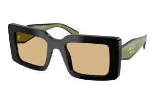 Widok z przodu Prada PR D01S (03K10R)