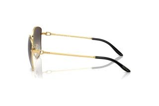 Widok z boku Ralph Lauren THE VIVIENNE (RL7079 - 90048G)