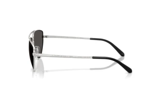 Widok z boku Ralph Lauren RL7090 (900187)