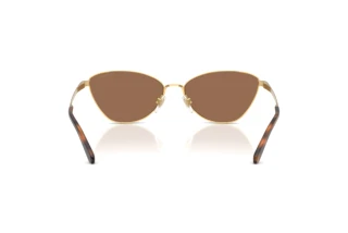 Widok z tyłu Ralph Lauren RL7093 (900473)