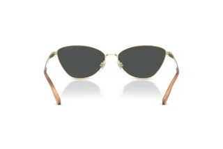 Widok z tyłu Ralph Lauren RL7093 (911687)