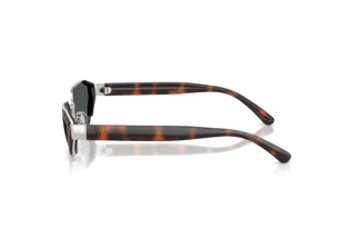Widok z boku Ralph Lauren RL7094 (900187)