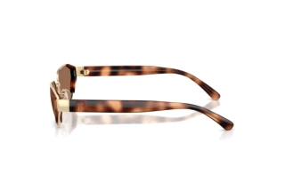 Widok z boku Ralph Lauren RL7094 (911673)