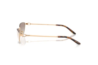 Widok z boku Ralph Lauren RL7095 (94876E)