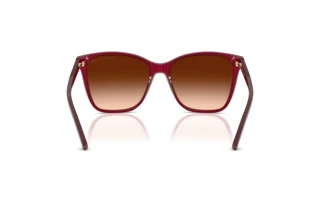 Widok z tyłu Ralph Lauren RL8201 (591274)