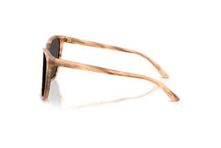 Widok z boku Ralph Lauren RL8201 (617987)