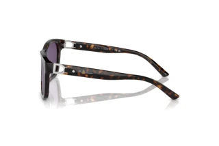 Widok z boku Ralph Lauren RL8203QU (50031A)