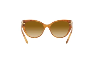 Widok z tyłu Ralph Lauren RL8215BU (60832L)