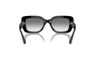 Widok z tyłu Ralph Lauren THE NIKKI (RL8217U - 500179)