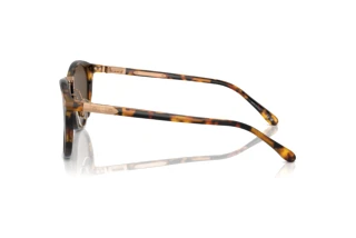 Widok z boku Ralph Lauren THE QUINCY (RL8223 - 513453)