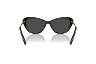 Widok z tyłu Ralph Lauren THE ELLA (RL8224U - 500187)