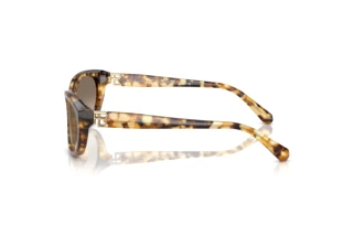 Widok z boku Ralph Lauren RL8226U (60566Y)