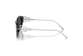 Widok z boku Ralph Lauren RL8227U (500187)