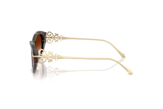Widok z boku Ralph Lauren RL8227U (500374)