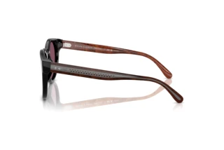 Widok z boku Ralph Lauren RL8229U (53981A)