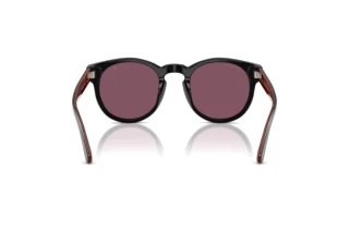 Widok z tyłu Ralph Lauren RL8229U (53981A)