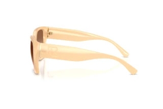 Widok z boku Ralph Lauren RL8230U (624513)