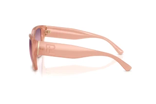 Widok z boku Ralph Lauren RL8230U (6281U8)