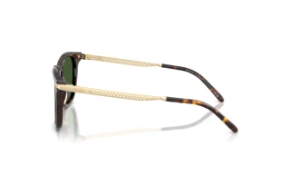 Widok z boku Ralph Lauren RL8233U (500371)