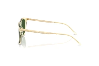 Widok z boku Ralph Lauren RL8233U (503471)