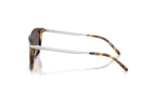 Widok z boku Ralph Lauren RL8233U (51341A)