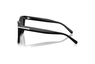 Widok z boku Ralph Lauren RL8235U (500187)