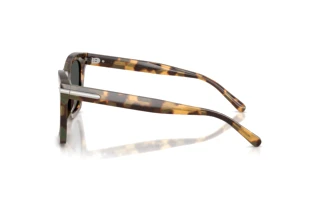 Widok z boku Ralph Lauren RL8235U (617887)