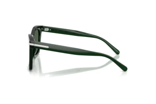 Widok z boku Ralph Lauren RL8235U (630471)
