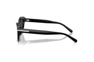 Widok z boku Ralph Lauren RL8236U (500187)