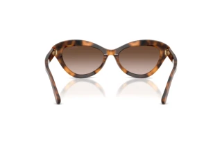 Widok z tyłu Ralph Lauren RL8236U (608913)