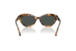 Widok z tyłu Ralph Lauren RL8236U (617887)