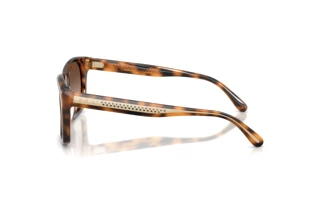 Widok z boku Ralph Lauren RL8237U (608913)