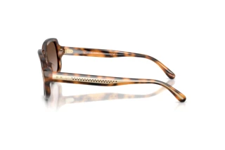 Widok z boku Ralph Lauren RL8238U (608913)