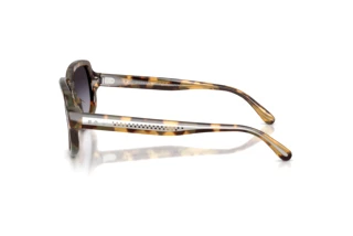 Widok z boku Ralph Lauren RL8238U (61788G)