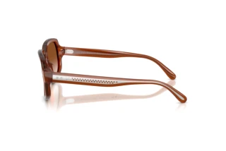 Widok z boku Ralph Lauren RL8238U (630613)