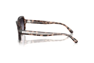 Widok z boku Ralph Lauren RL8238U (63078G)