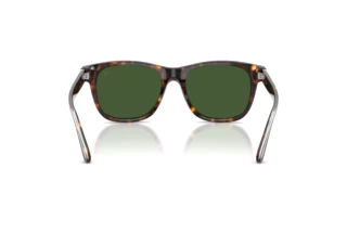 Widok z tyłu Ralph Lauren RL8239U (500371)