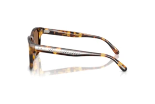 Widok z boku Ralph Lauren RL8239U (513473)