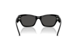 Widok z tyłu Ralph Lauren RL8240U (500187)