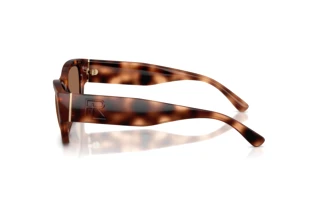 Widok z boku Ralph Lauren RL8240U (635173)