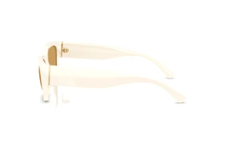 Widok z boku Ralph Lauren RL8240U (635273)
