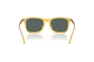 Widok z tyłu Ralph Lauren RL8242U (50053R)