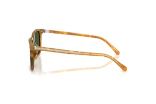 Widok z boku Ralph Lauren RL8242U (618571)