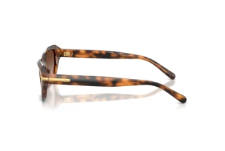 Widok z boku Ralph Lauren RL8244U (608913)