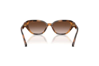 Widok z tyłu Ralph Lauren RL8244U (608913)