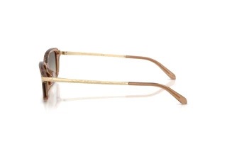 Widok z boku Ralph Lauren RL8245U (637708)