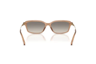 Widok z tyłu Ralph Lauren RL8245U (637708)