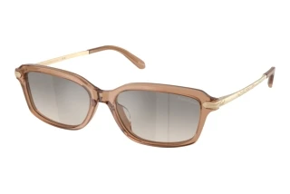 Widok z przodu Ralph Lauren RL8245U (637708)